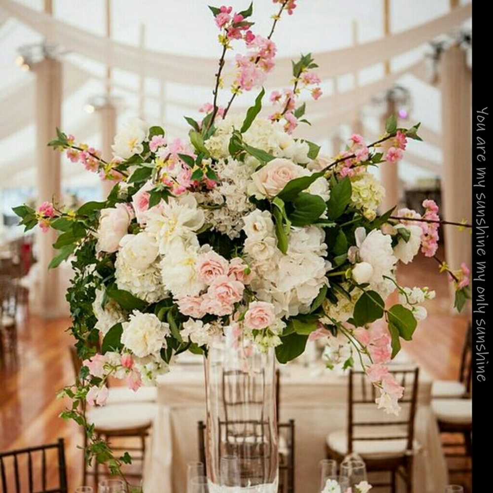 Meet your Posher, Clara