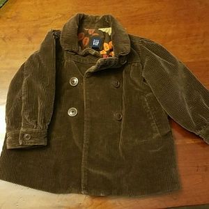 Brown (chocolate) Corduroy Jacket: Baby GAP