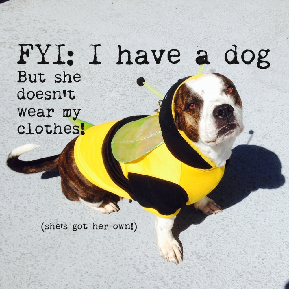 My home is smoke free but not dog free!