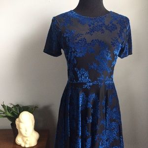 Floral Velvet Skater Dress Floral Velvet Skater Dress