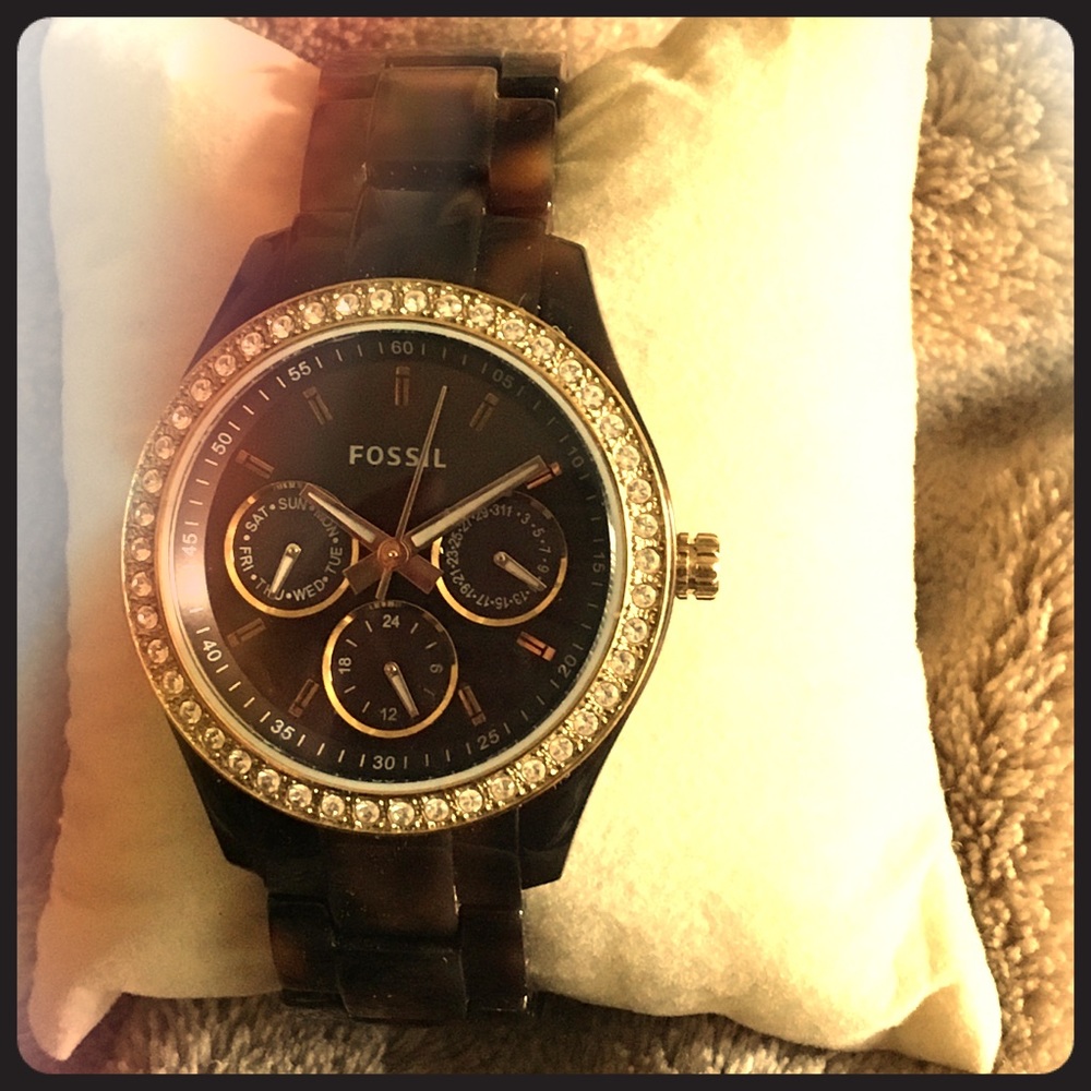 Tortoise Fossil Watch