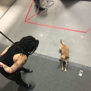 Meet your Posher, Marie