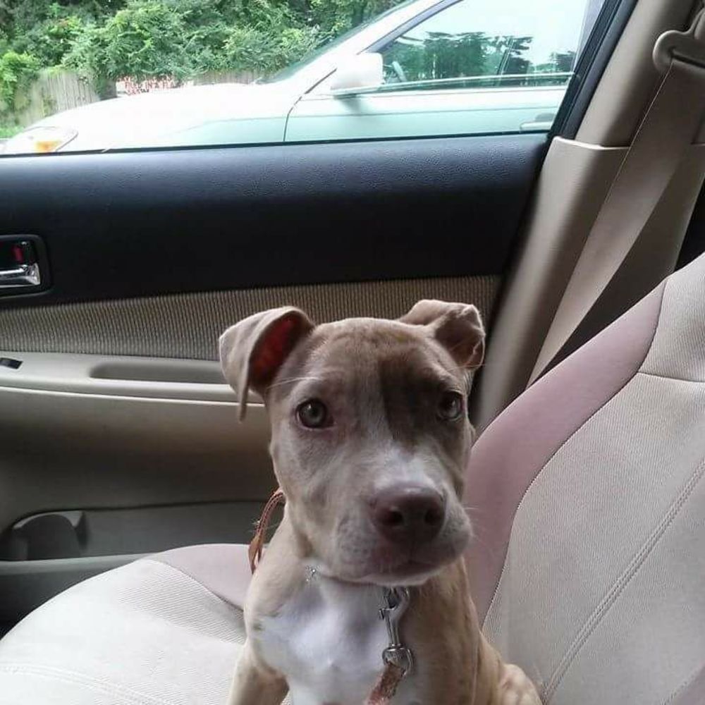 Meet your Posher, Moeg