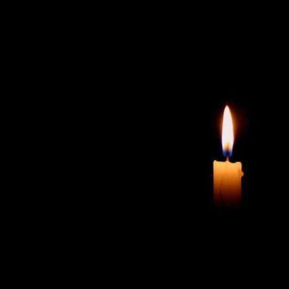 Meet your Posher, Terri - Picture 1 of 1