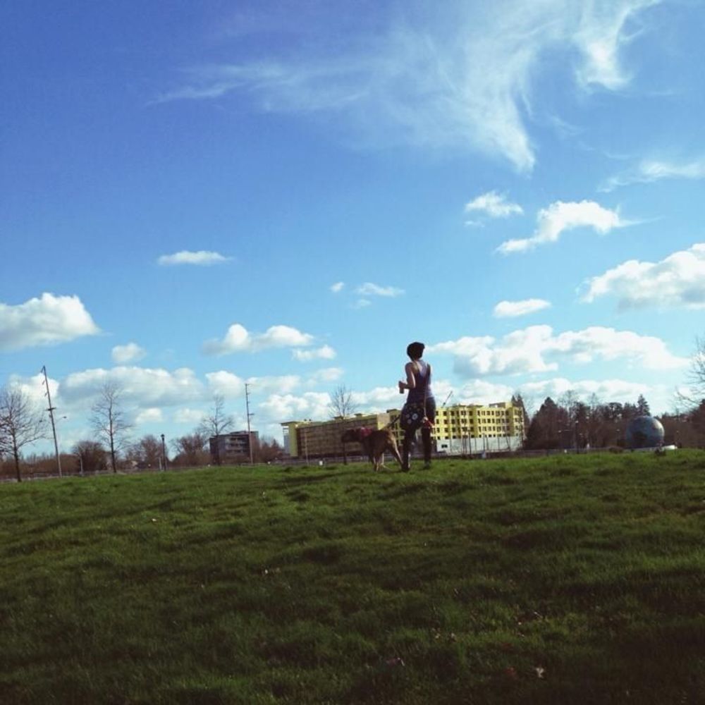 Meet your Posher, Bell