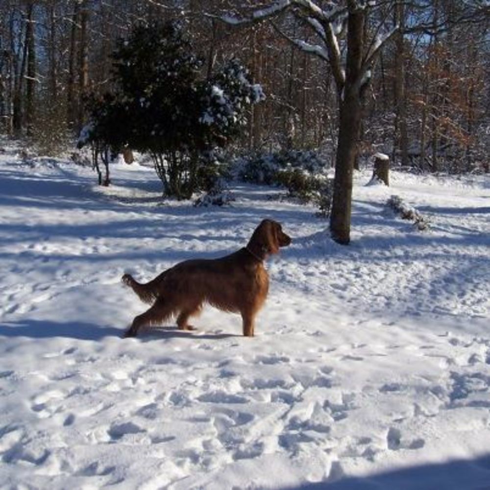 Meet your Posher, Sheree