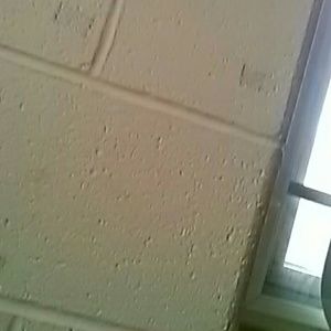 Meet your Posher, Ramon