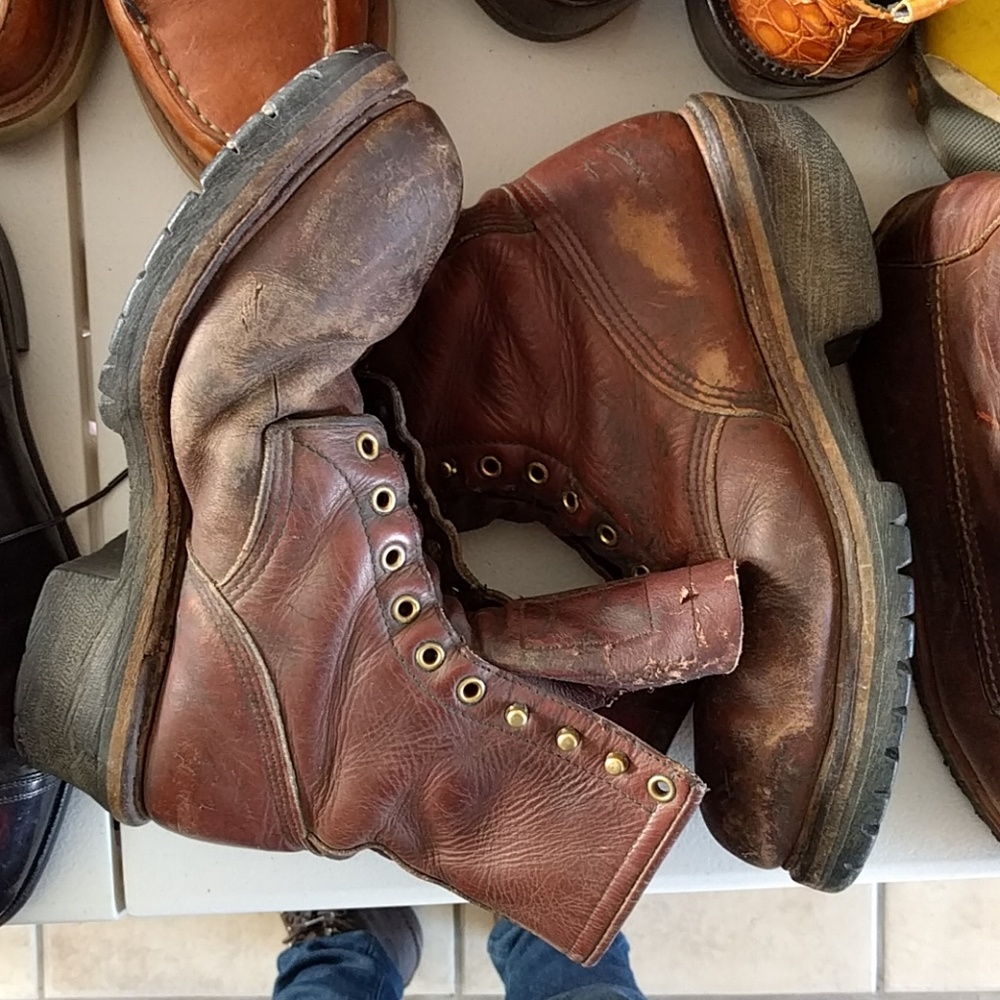 Red Wing Irish Setters