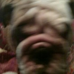 Meet your Posher, Carrie