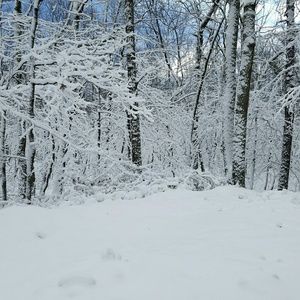 Meet your Posher, Gina