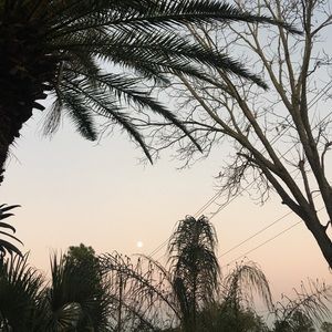 Meet your Posher, Trenton