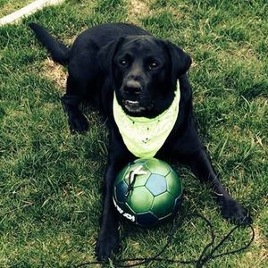 Meet your Posher, Ella