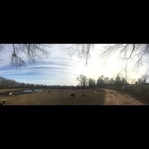 Meet your Posher, Tabitha