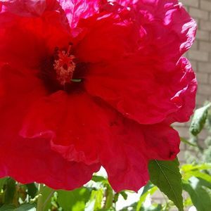 Meet your Posher, Paula