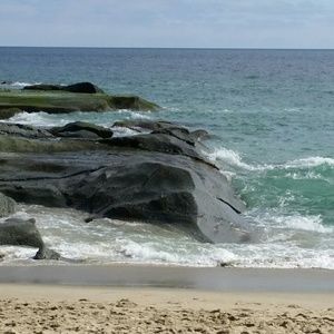 Meet your Posher, Michele