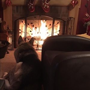 Meet your Posher, Darlene