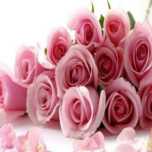 Meet your Posher, Ebony