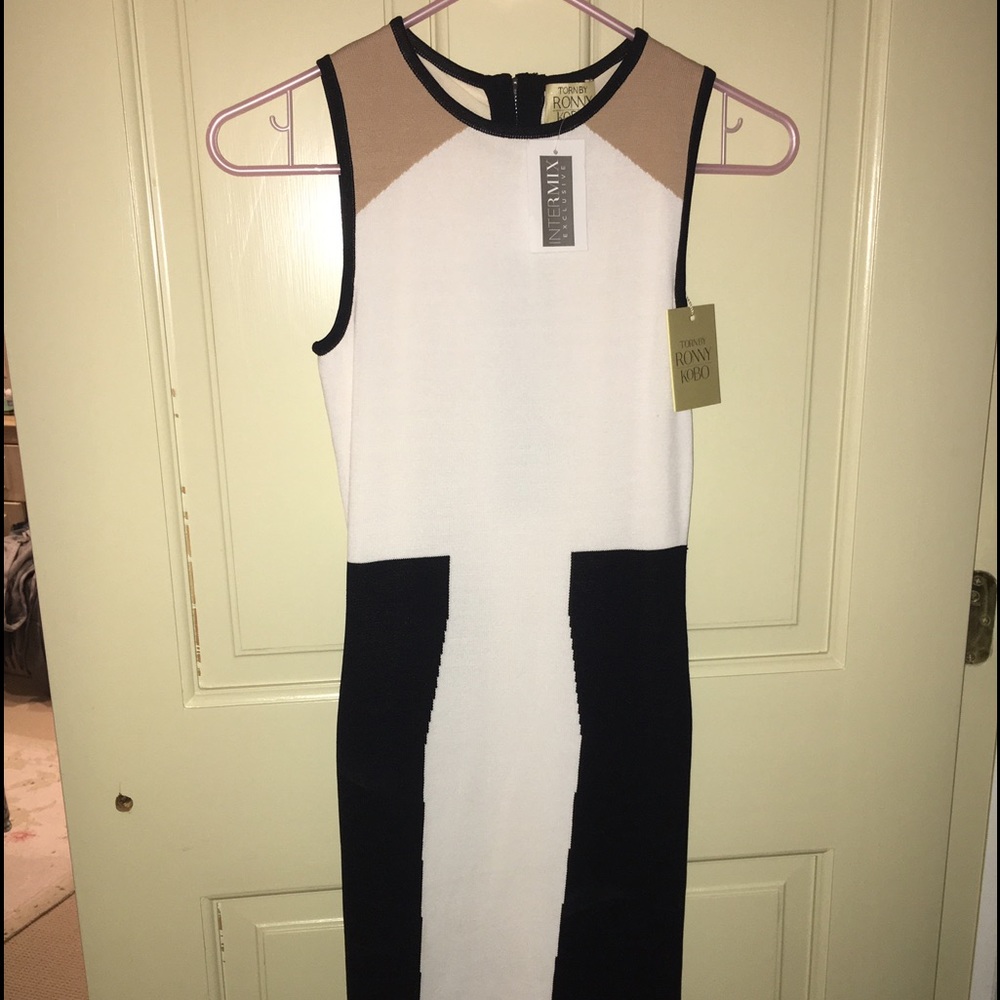 Torn by Ronny Kobo Mini Dress XS NWT