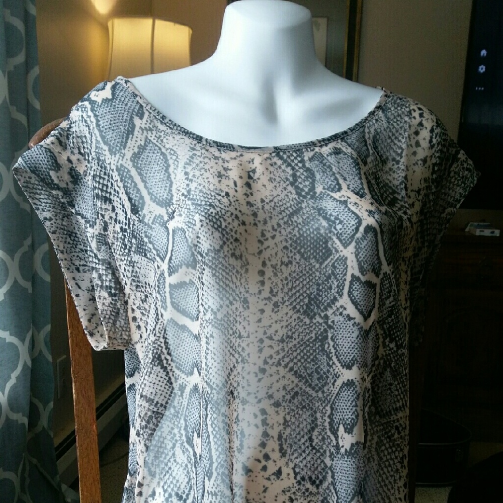 Nwt sheer blouse