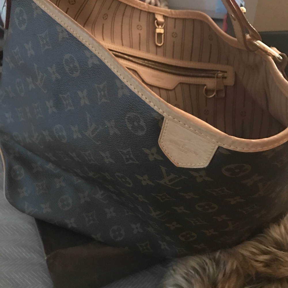 LV bag