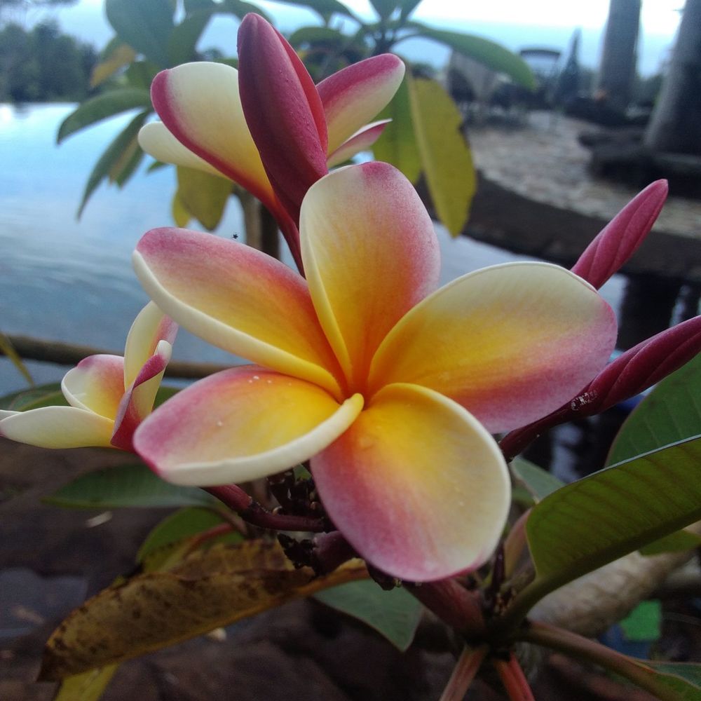 Meet your Posher, Deborah