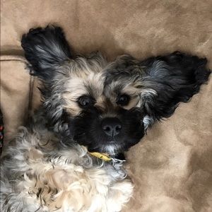 Meet your Posher, Adrienne