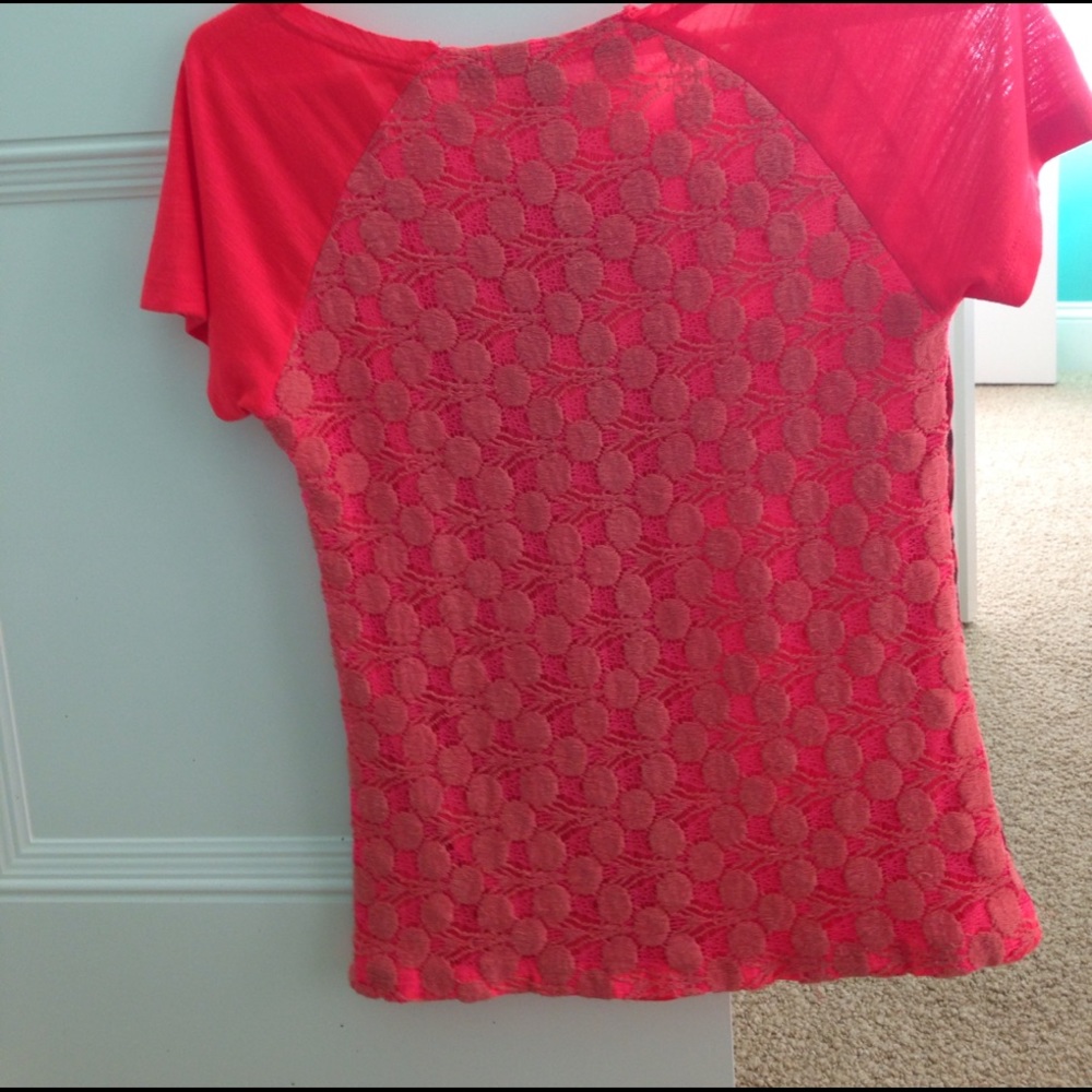 Object Collectors Item Size Small - Picture 2 of 2
