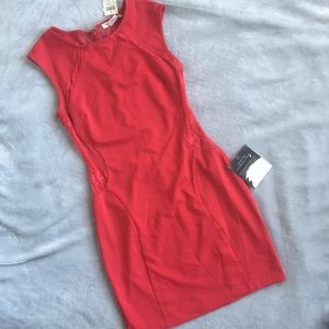 Red Arden B mini dress