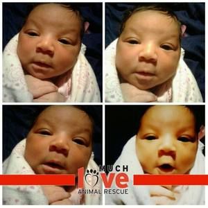 Meet your Posher, Quaniesha