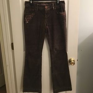 American Eagle Brown Corduroy Pants