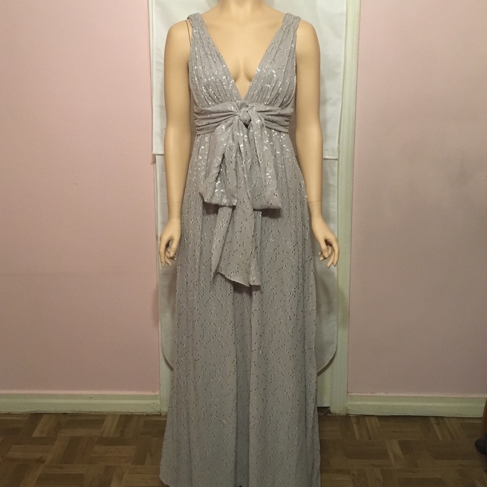 JAY AHR Gorgeous Silk Gown NEW