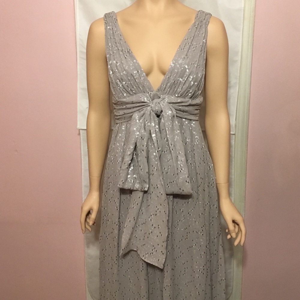 JAY AHR Gorgeous Silk Gown NEW