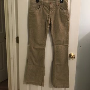 American Eagle Tan Corduroy Pants