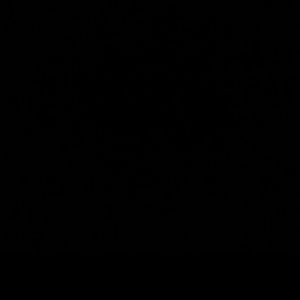 Meet your Posher, Melani