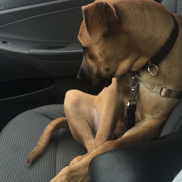 Meet your Posher, D - Picture 1 of 1