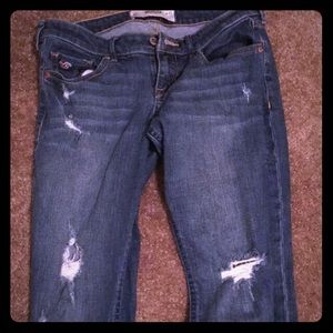 Hollister jeans