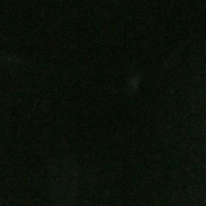 Meet your Posher, Jenn