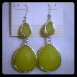 Silvertone Yellowstone beautiful earrings