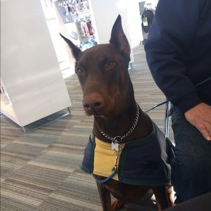 Meet your Posher, Kelli