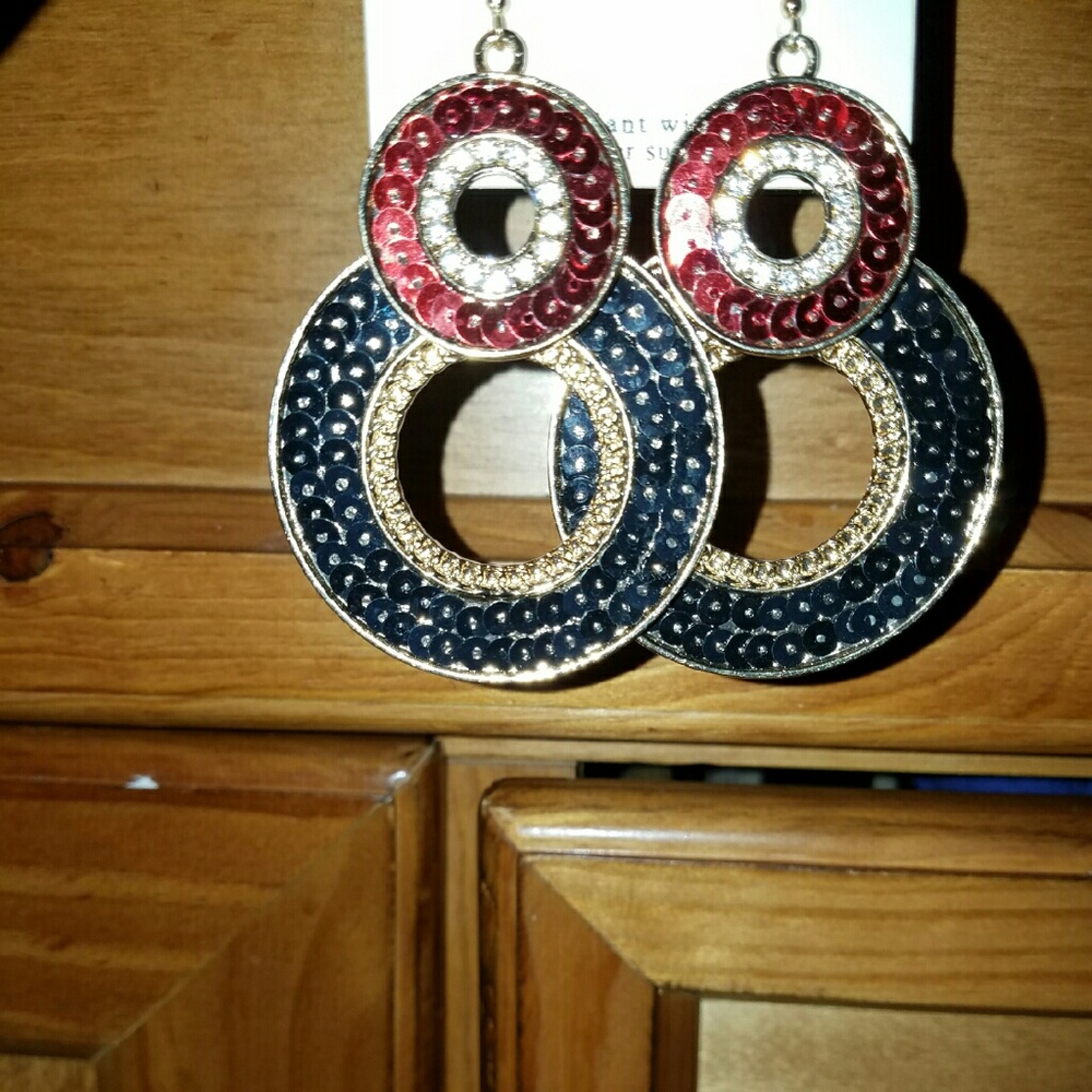 Double disc earrings