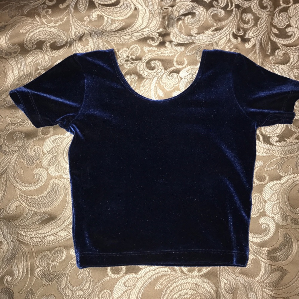 American apparel Velvet crop XS