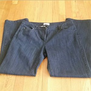 Talbots Blue Stretch Denim Jeans