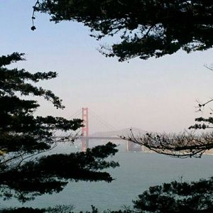 Meet your Posher, Galina