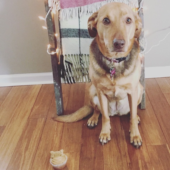 Meet your Posher, Heather - Picture 6 of 8