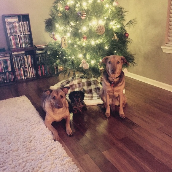 Meet your Posher, Heather - Picture 7 of 8