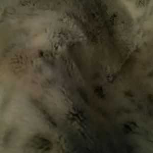 Meet your Posher, Desiree