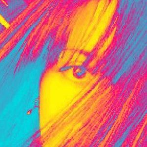 Meet your Posher, Robin