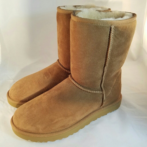 UGG Shoes - New UGG Classic shorts II woman
