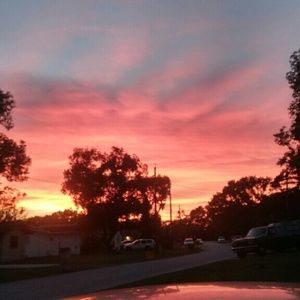 Meet your Posher, Amelia