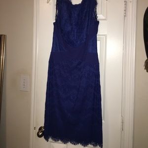 Royal Blue Lace Tadashi Shoji dress